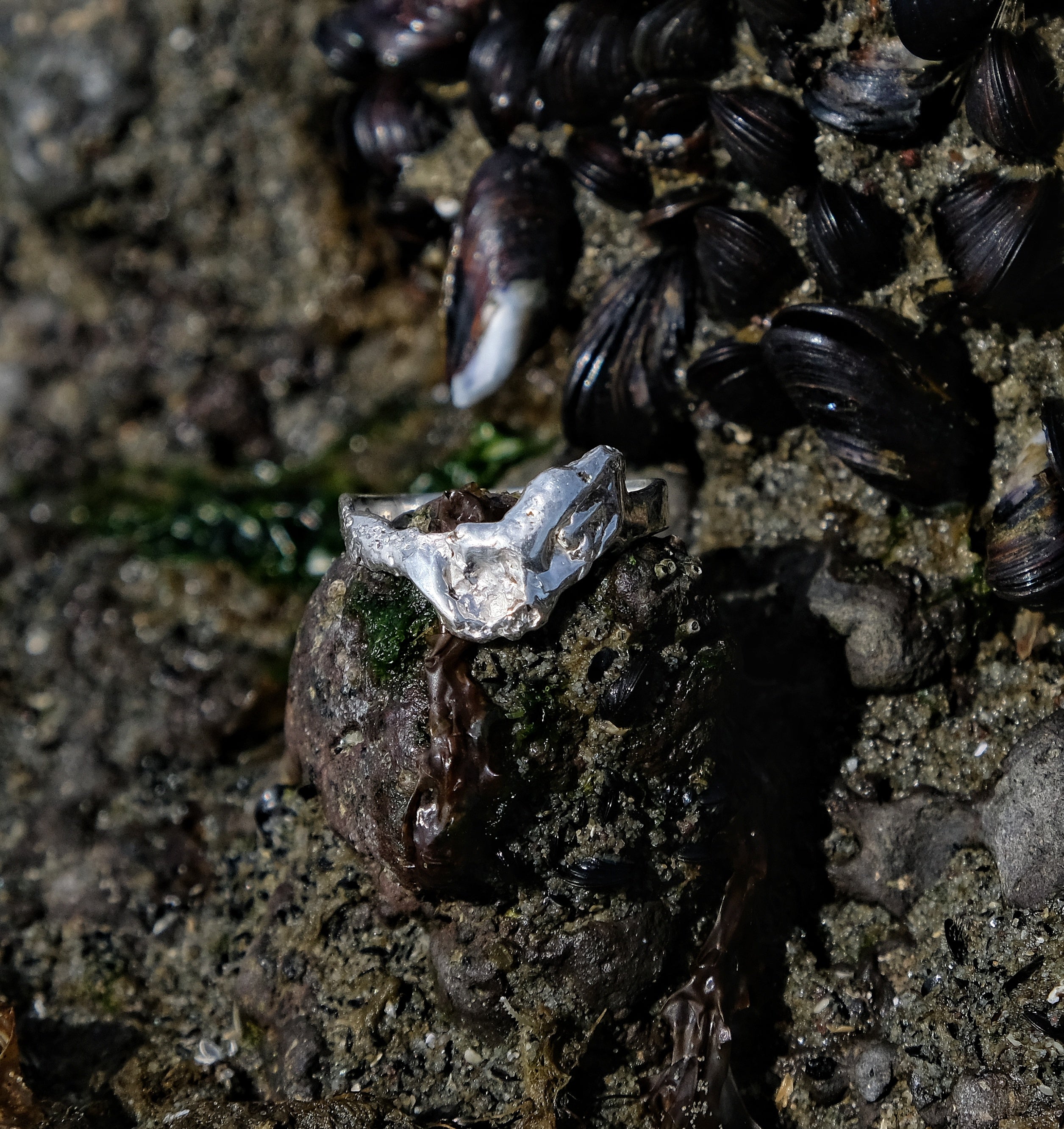 Silver coral ring, by rockpool | Made with Grace | handmade jewellery nz