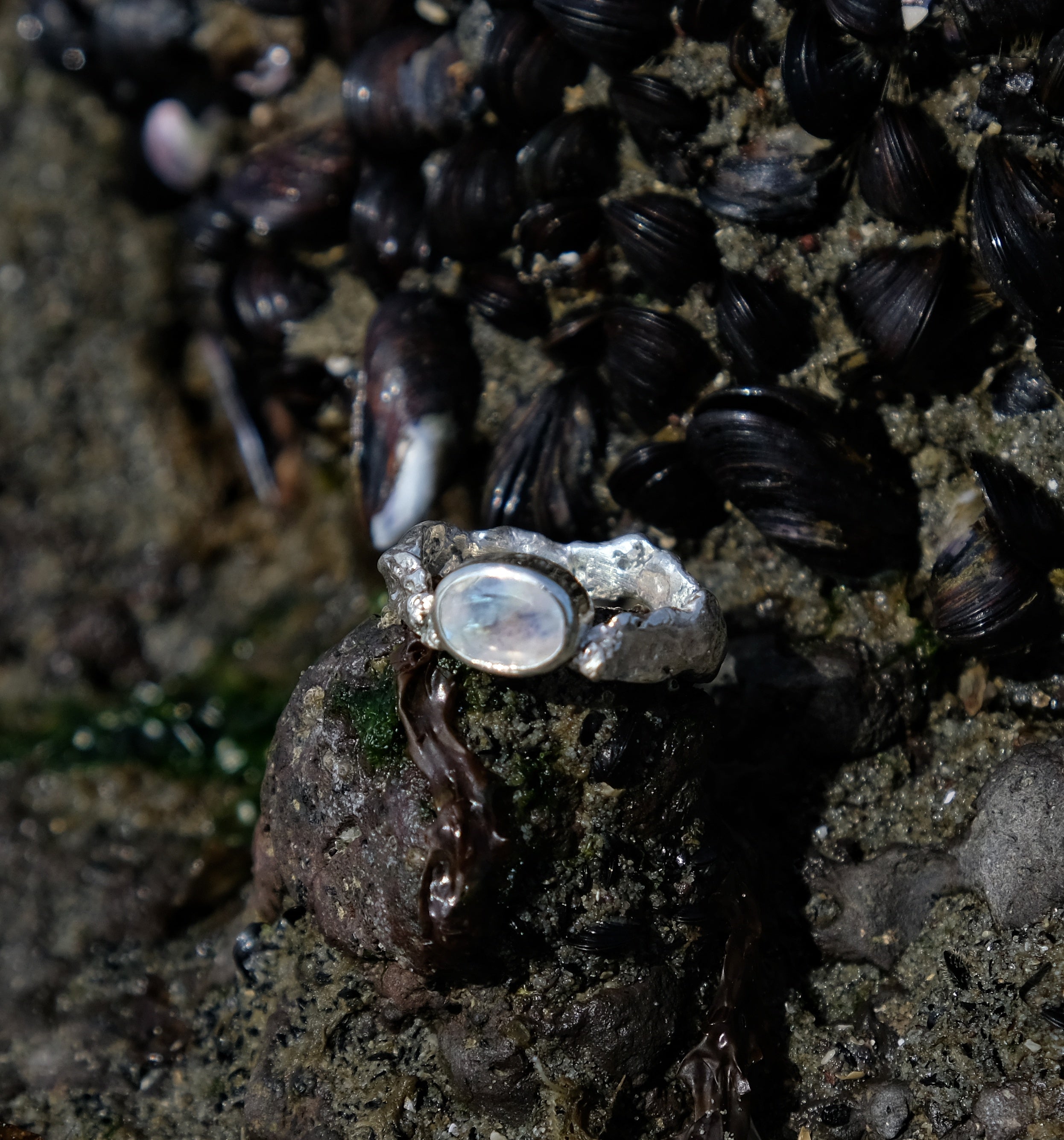 Rainbow moonstone and silver ring, by rockpool | Made with Grace | handmade jewellery nz