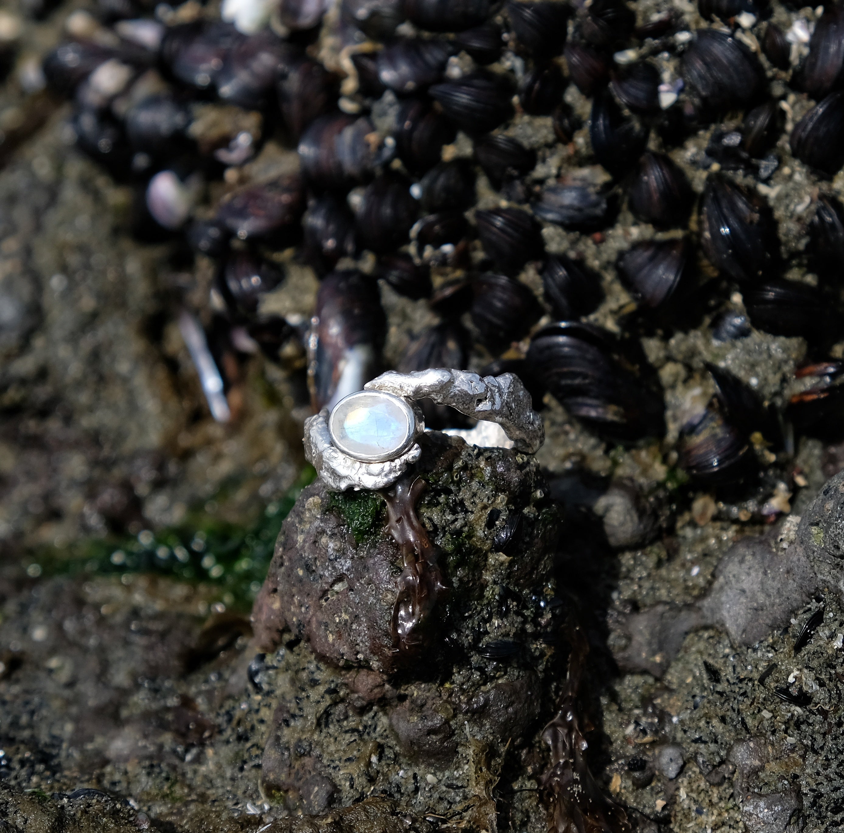 Rainbow moonstone ring, gemstone wrapped in silver, by a rockpool | Made with Grace | handmade jewellery nz